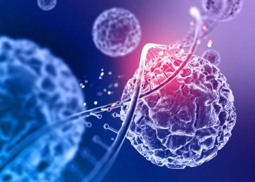 Salud mitocondrial: la energía nace en tus células